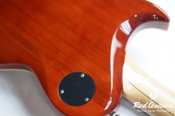 PE-480 - See-through Black Burst